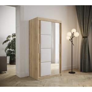 Šatní skříň Abi Tapi 2 Barva korpusu: Dub Sonoma, Rozměry: 120 cm, Dveře: Bílá koženka