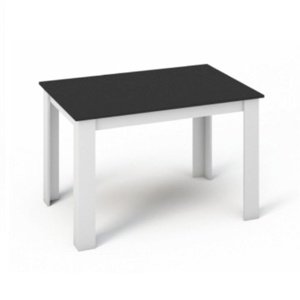 Jídelní stůl, bílá / černá, 120x80, kraz