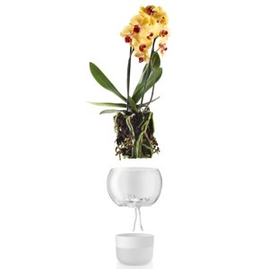 Samozavlažovací skleněný květináč na orchidej O15cm , eva solo